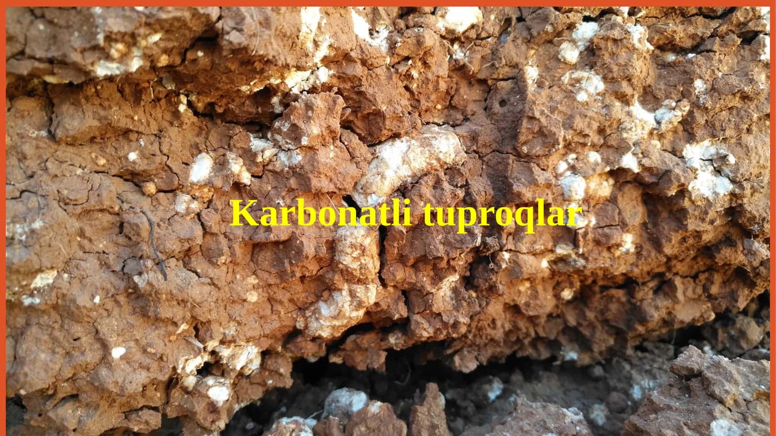 Karbonatli tuproqlar