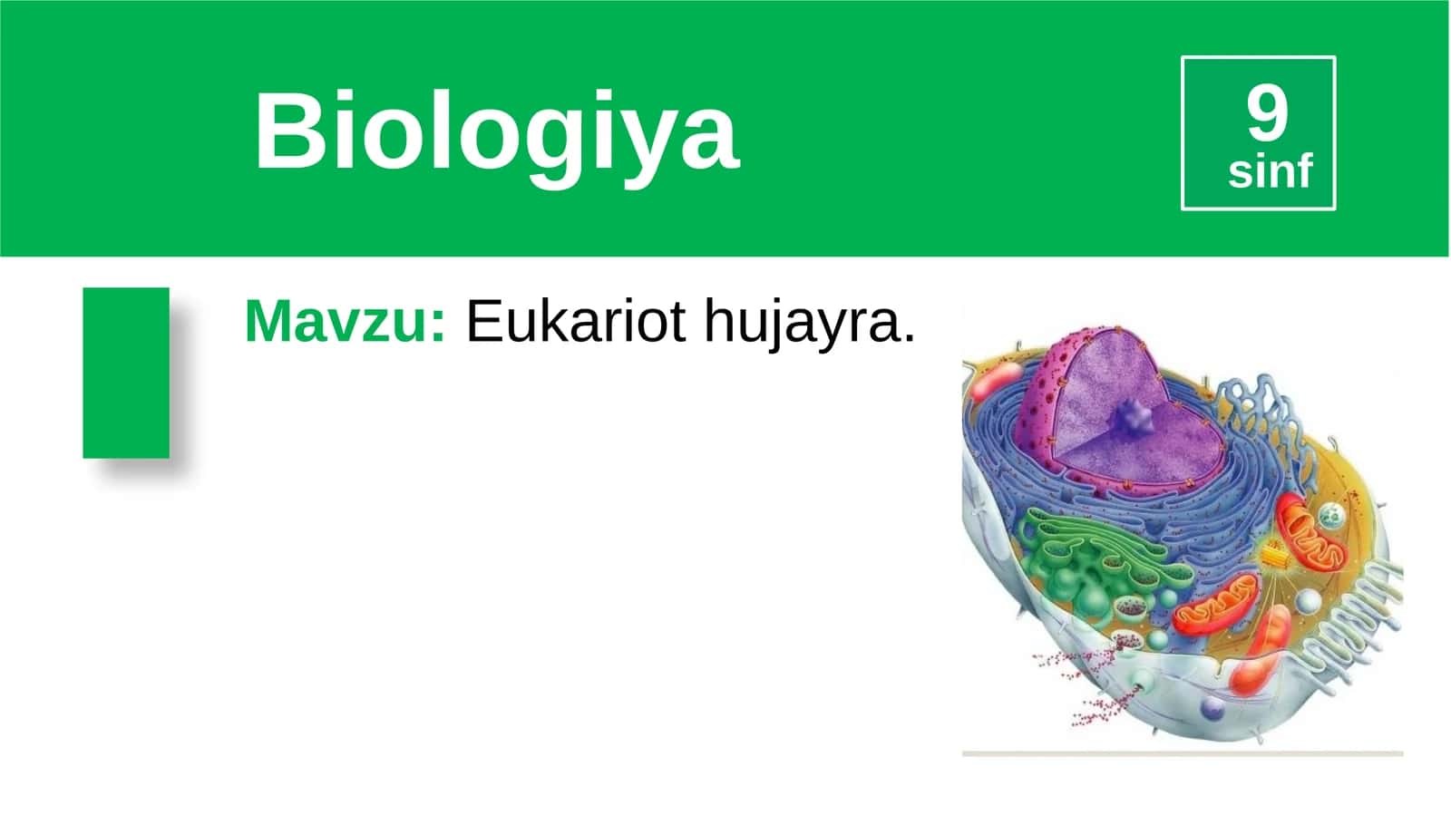 Eukariothujayra