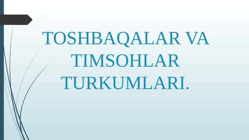 TOSHBAQALAR VA TIMSOHLAR TURKUMLARI