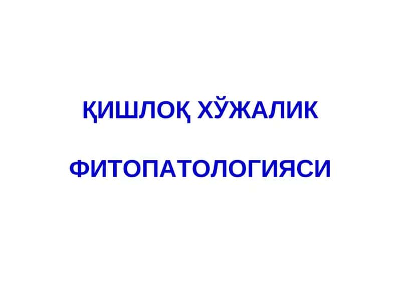 Данак Мевали Дарахтлар