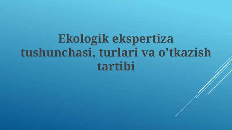 Ekologik ekspertiza