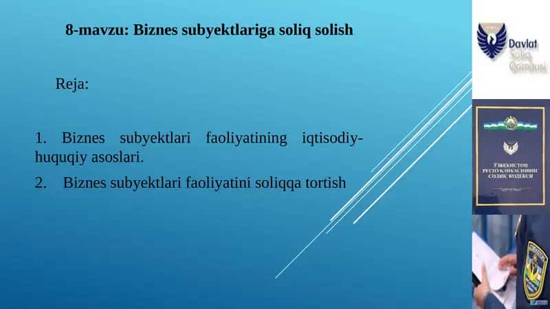 Biznes subyektlariga soliq solish