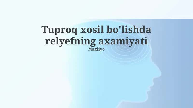 Tuproq xosil bo'lishda relyefning axamiyati