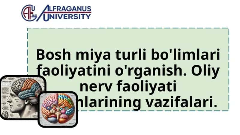 Bosh miya turli bo'limlari faoliyatini o'rganish. Oliy nerv faoliyati bo'limlarining vazifalari.