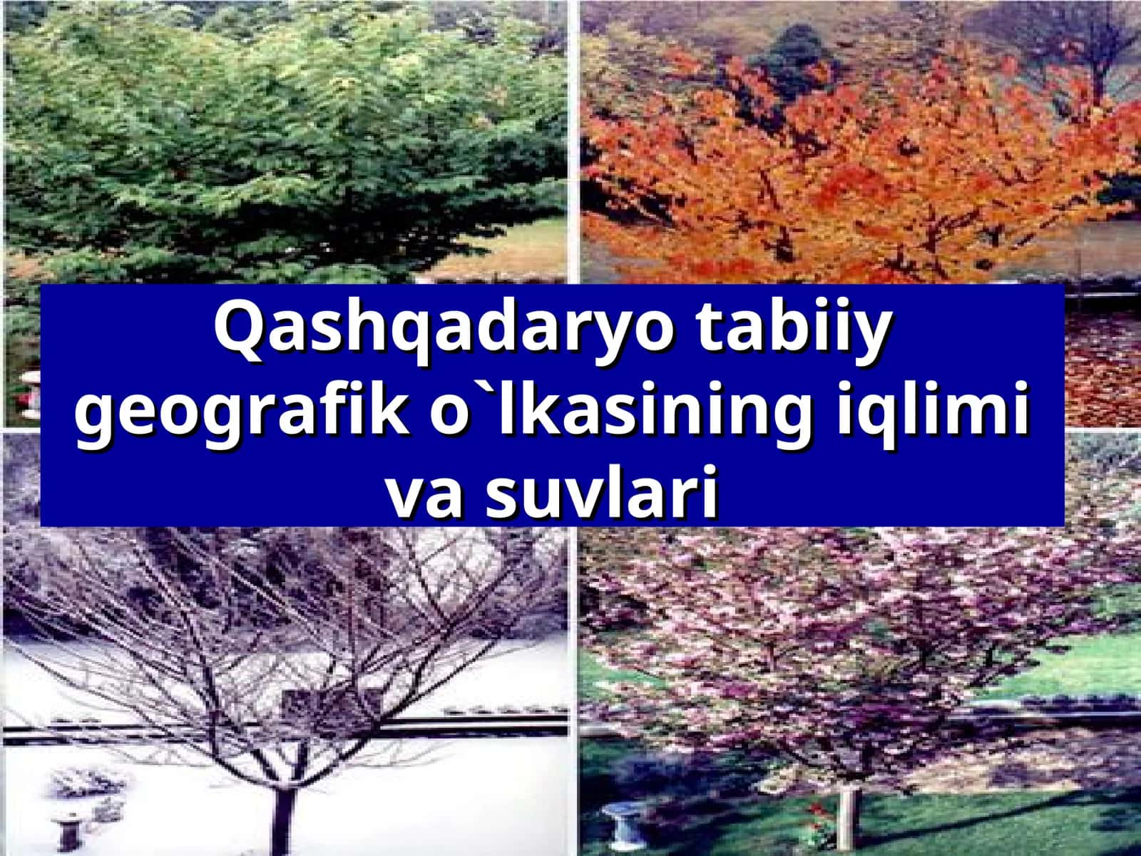 Qashqadaryo tabiiy geografik o`lkasining iqlimi va suvlari