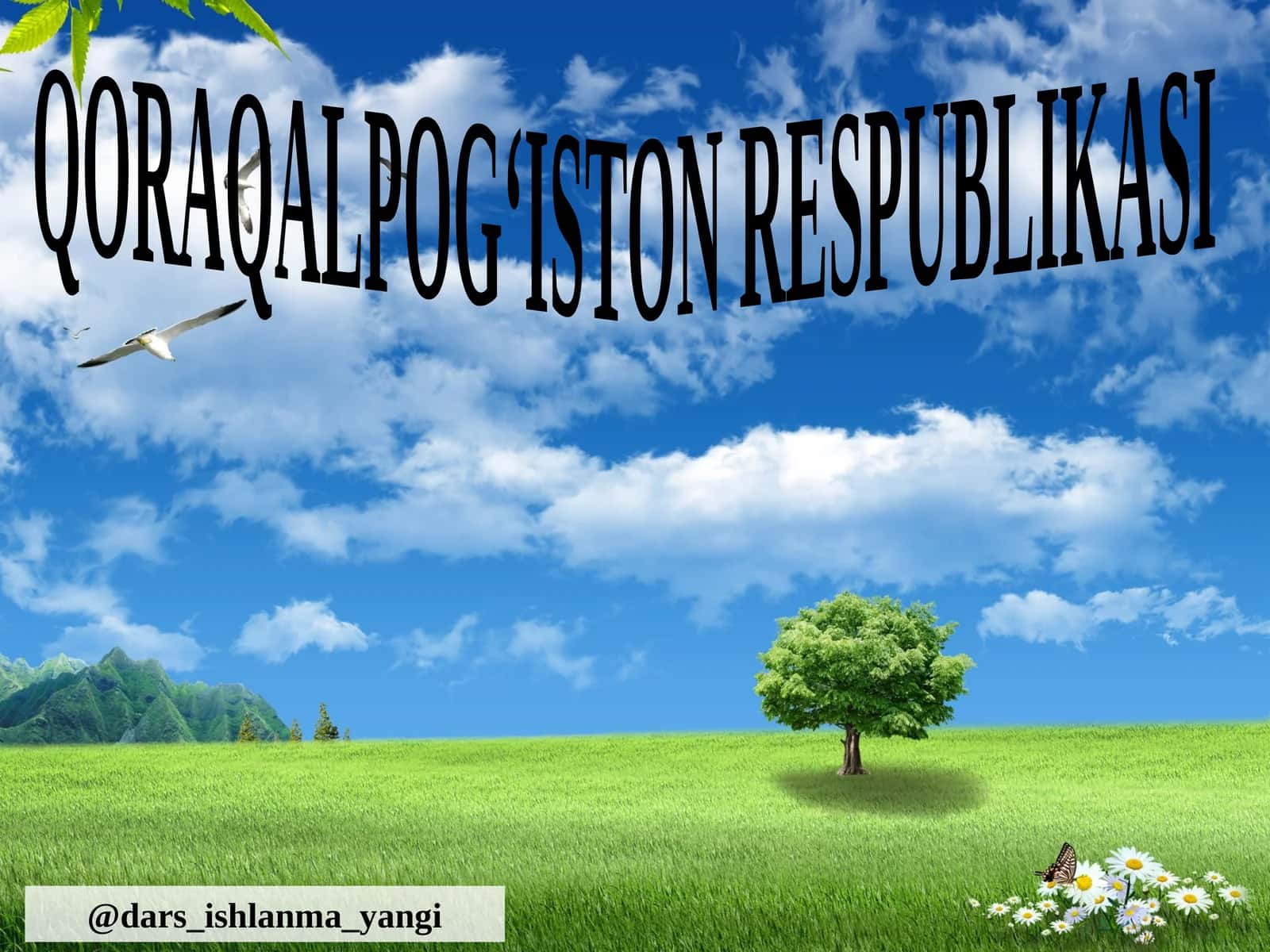 Qoraqalpoqiston Respublikasi