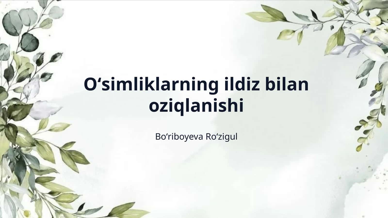 Oʻsimliklarning ildiz bilan oziqlanishi