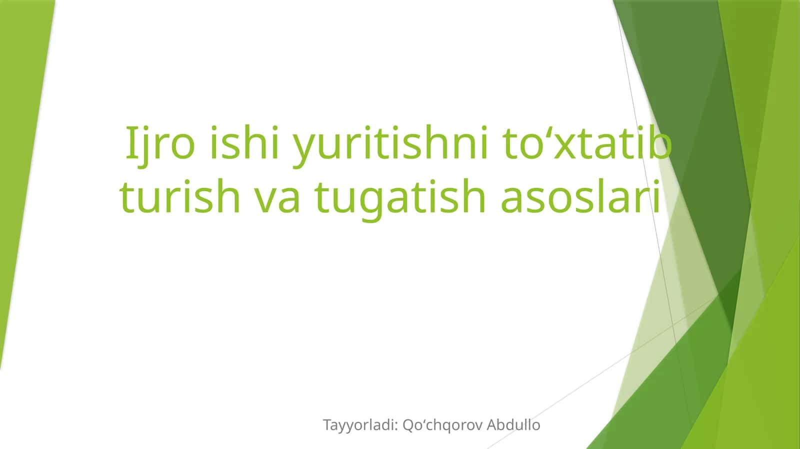 Ijro ishi yuritishni to‘xtatib turish va tugatish asoslari