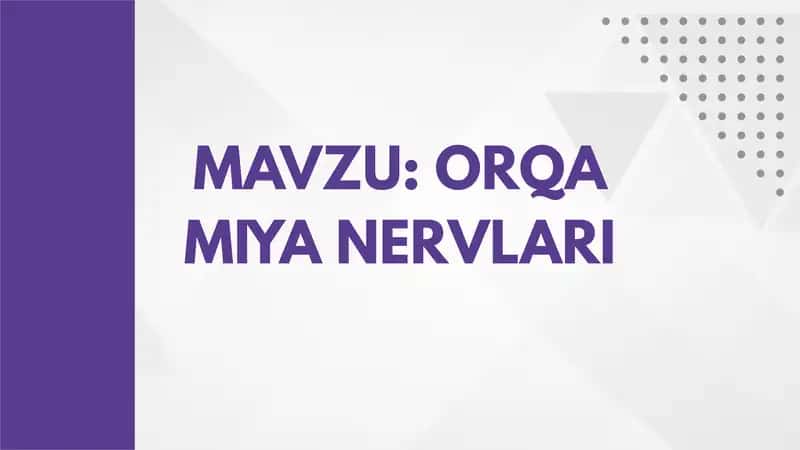 ORQA MIYA NERVLARI