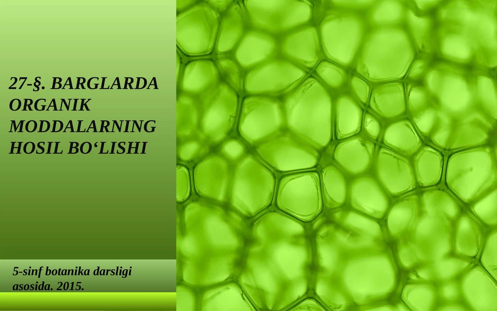 BARGLARDA ORGANIK MODDALARNING HOSIL BO‘LISHI