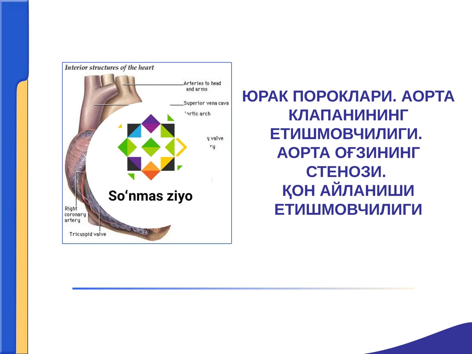 ЮРАК ПОРОКЛАРИ. АОРТА КЛАПАНИНИНГ ЕТИШМОВЧИЛИГИ.АОРТА ОҒЗИНИНГ СТЕНОЗИ.ҚОН АЙЛАНИШИ ЕТИШМОВЧИЛИГИ
