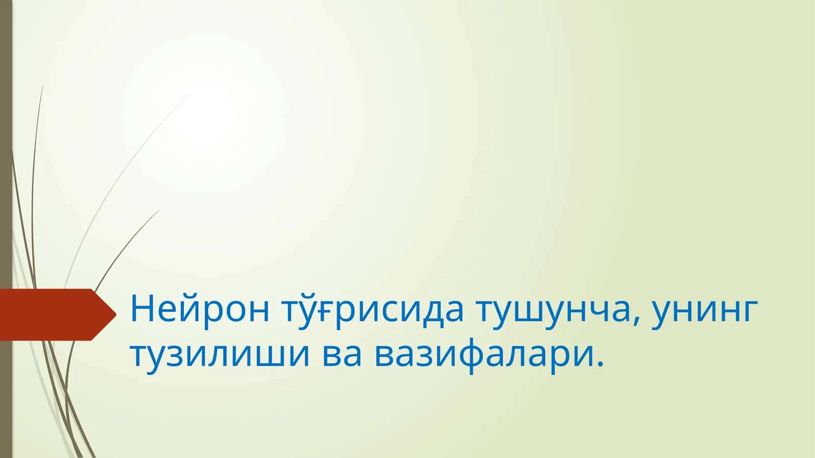 Нейрон тўғрисида тушунча, унинг тузилишива вазифалари