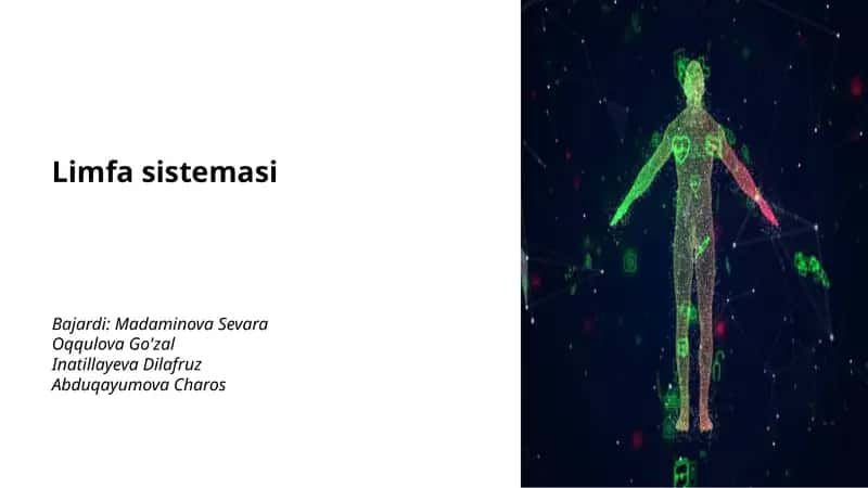 Limfa sistemasi