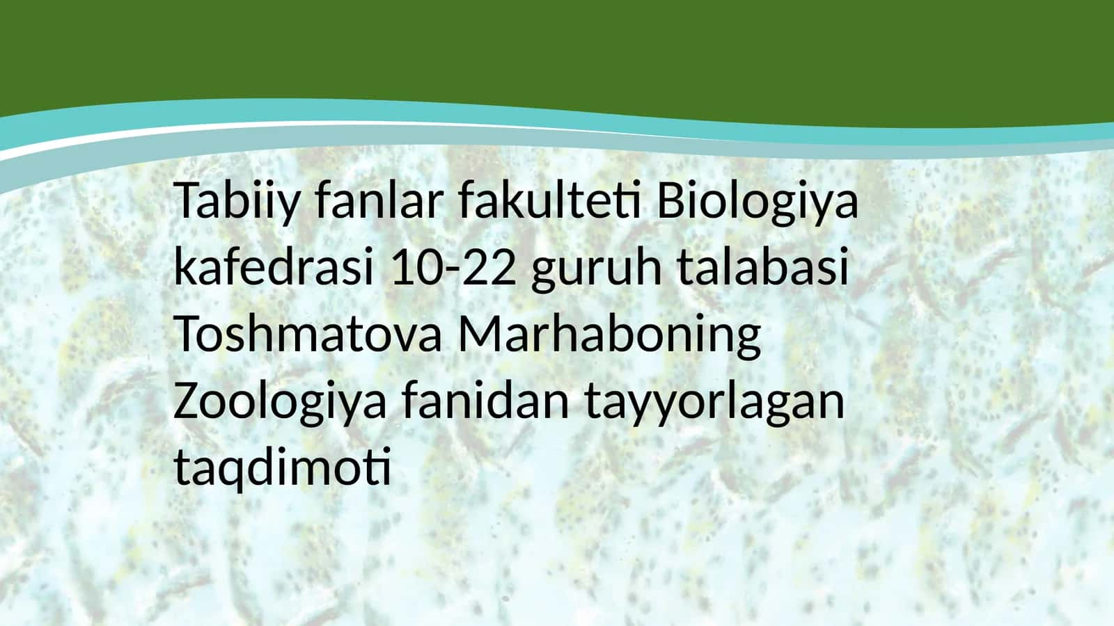 O’zbekistonda uchraydigan tungi yirtqich qushlar ekologiyasi