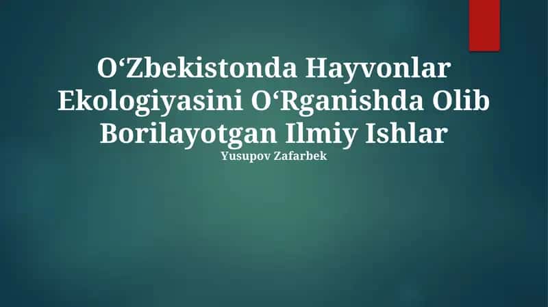 O'Zbekistonda Hayvonlar Ekologiyasini O'Rganishda Olib Borilayotgan Ilmiy Ishlar