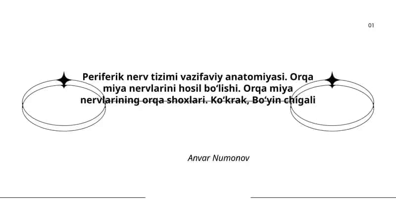 Periferik nerv tizimi vazifaviy anatomiyasi