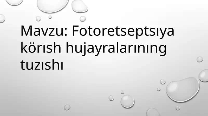 Fotoretseptsıya körısh hujayralarınıng tuzıshı