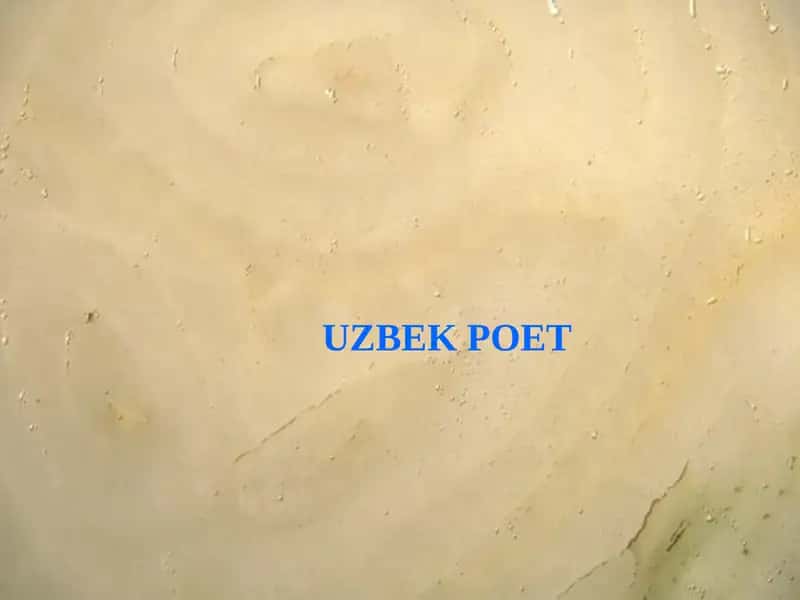 Alisher Navoi