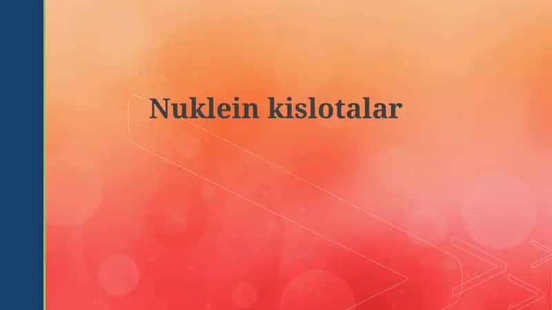 Nukleinkislotalar