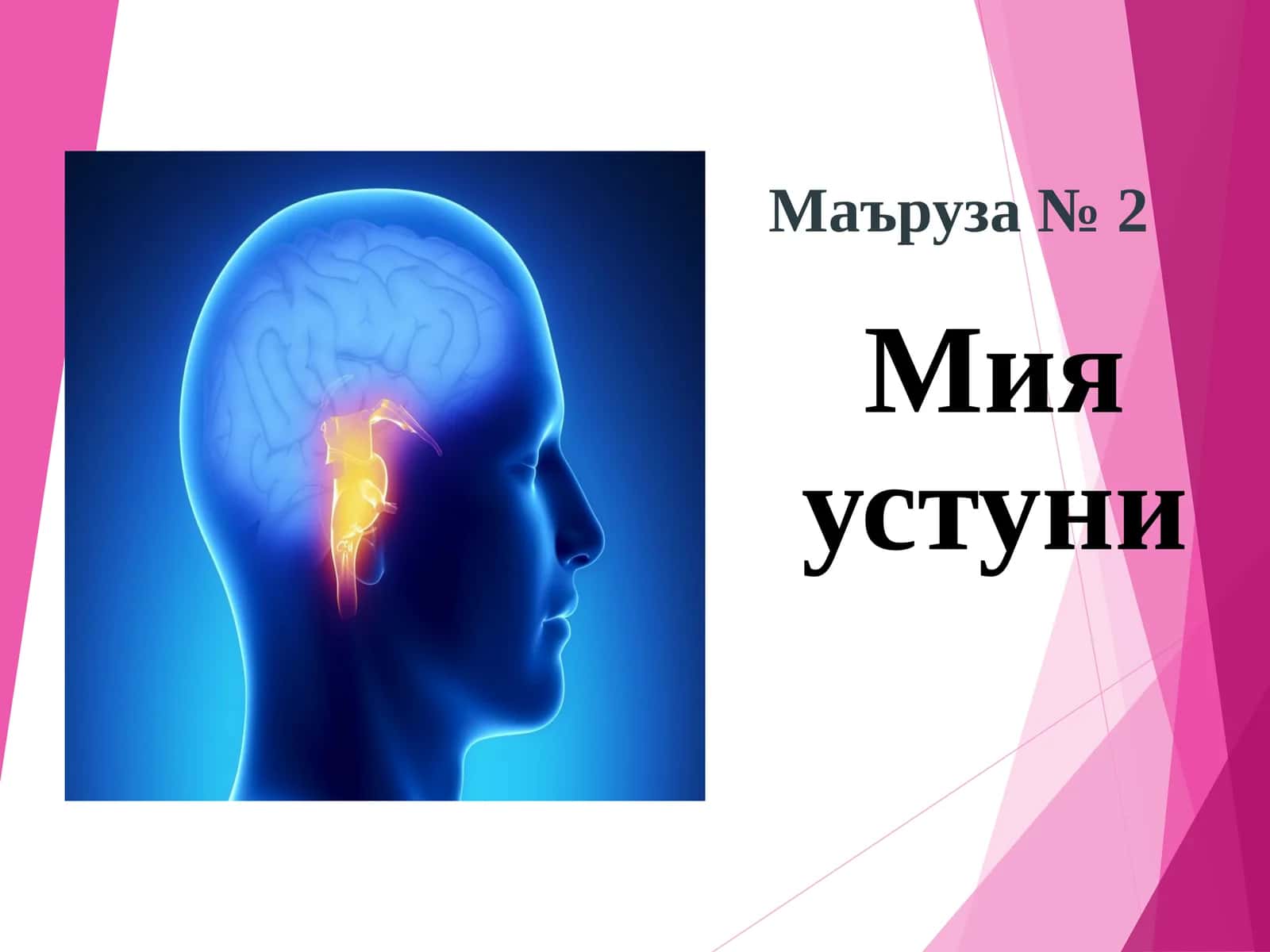 Мия устуни