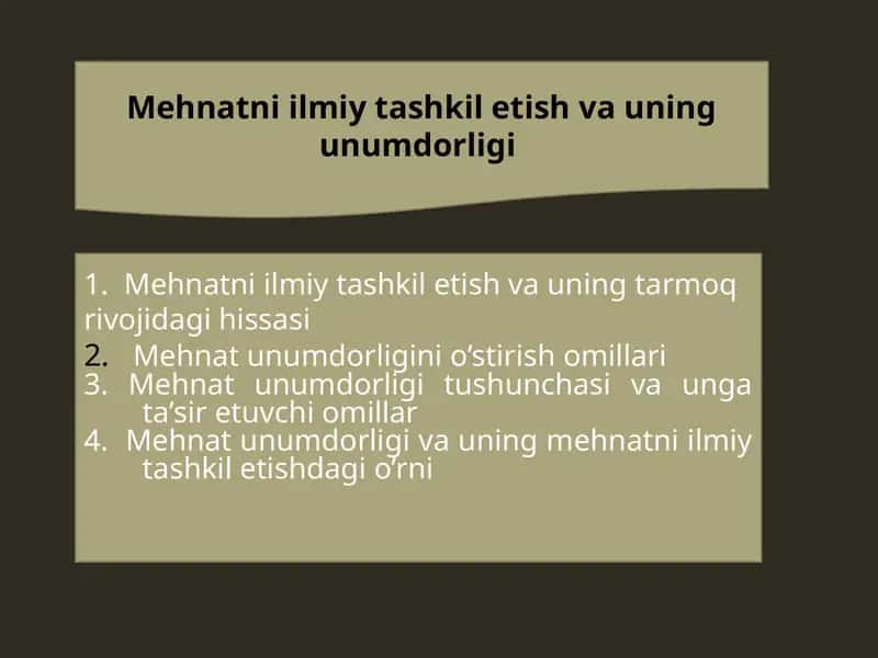 Mehnatni ilmiy tashkil etish va unumdorligi
