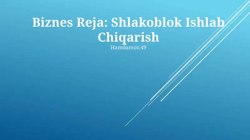 Biznes Reja: Shlakoblok Ishlab Chiqarish