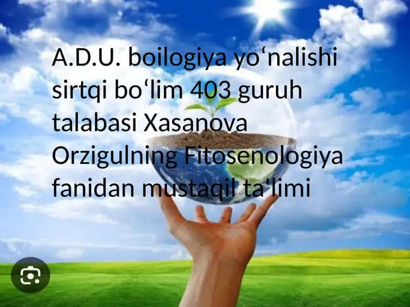 Oʻsimliklar va raqobat