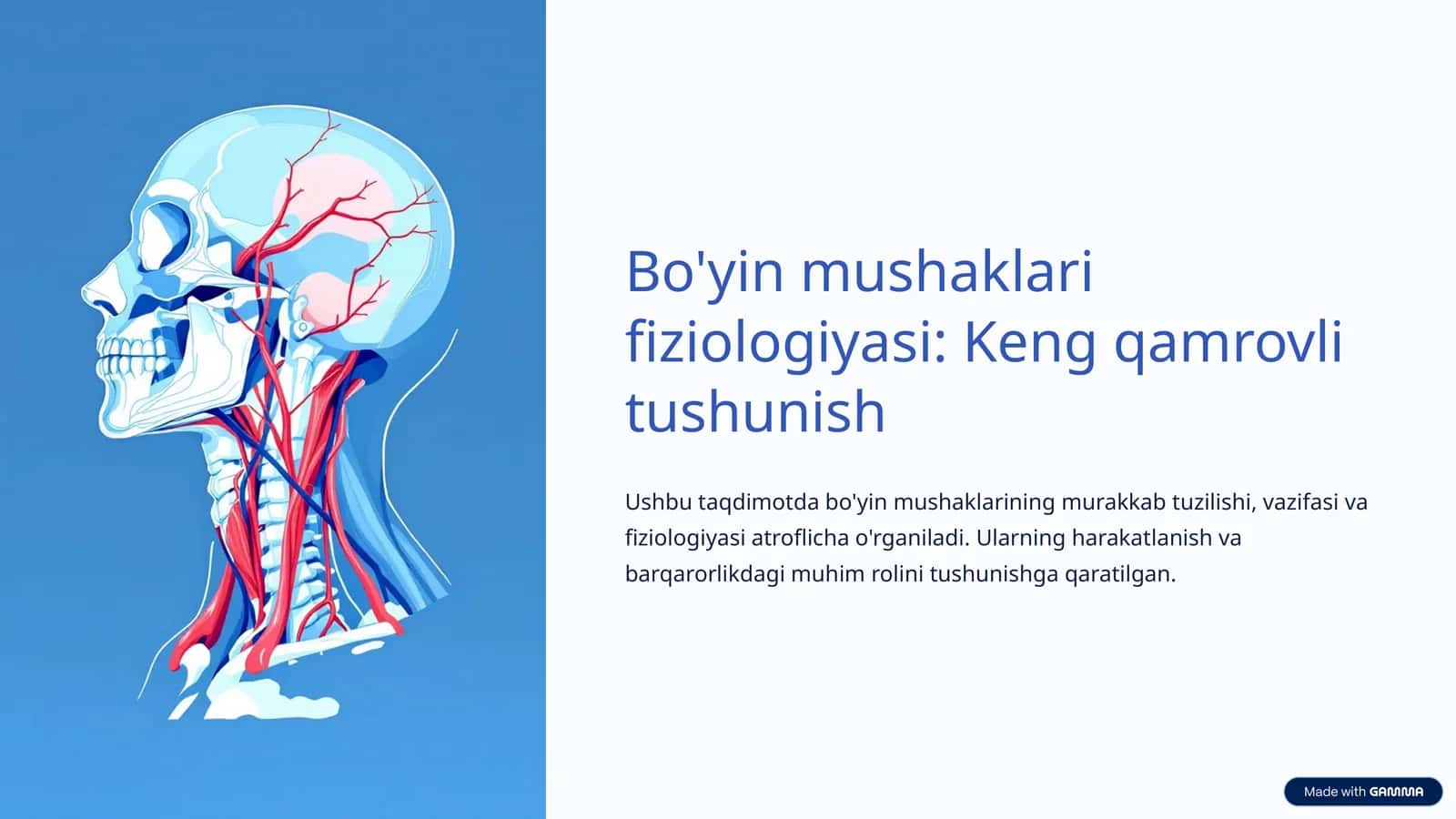 Bo'yin mushaklari fiziologiyasi: Keng qamrovli tushunish