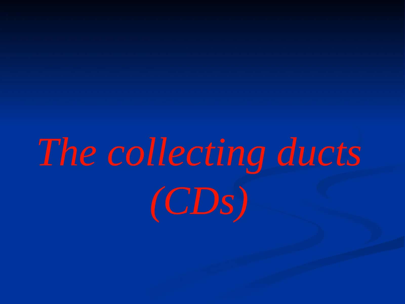 Collecting Ducts (CDs)