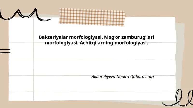 Bakteriyalar morfologiyasi. Mog’or zamburug’lari morfologiyasi. Achitqilarning morfologiyasi