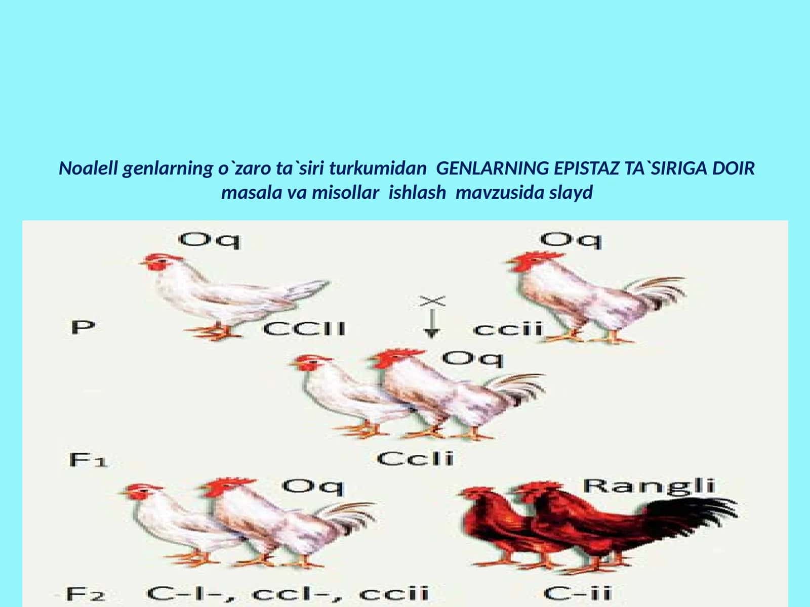 Epistaz