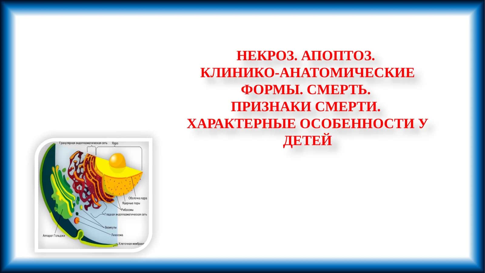 НЕКРОЗ. АПОПТОЗ. КЛИНИКО-АНАТОМИЧЕСКИЕ ФОРМЫ. СМЕРТЬ. ПРИЗНАКИ СМЕРТИ. ХАРАКТЕРНЫЕ ОСОБЕННОСТИ У ДЕТЕЙ