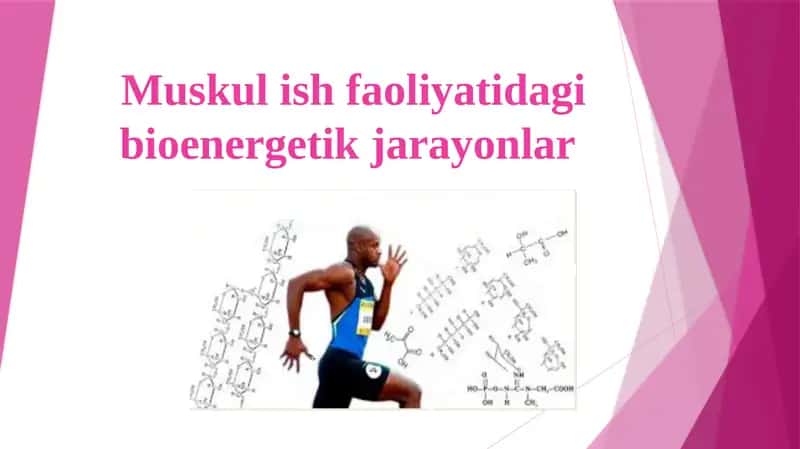 Muskul ish faoliyatidagi bioenеrgеtikjarayonlar