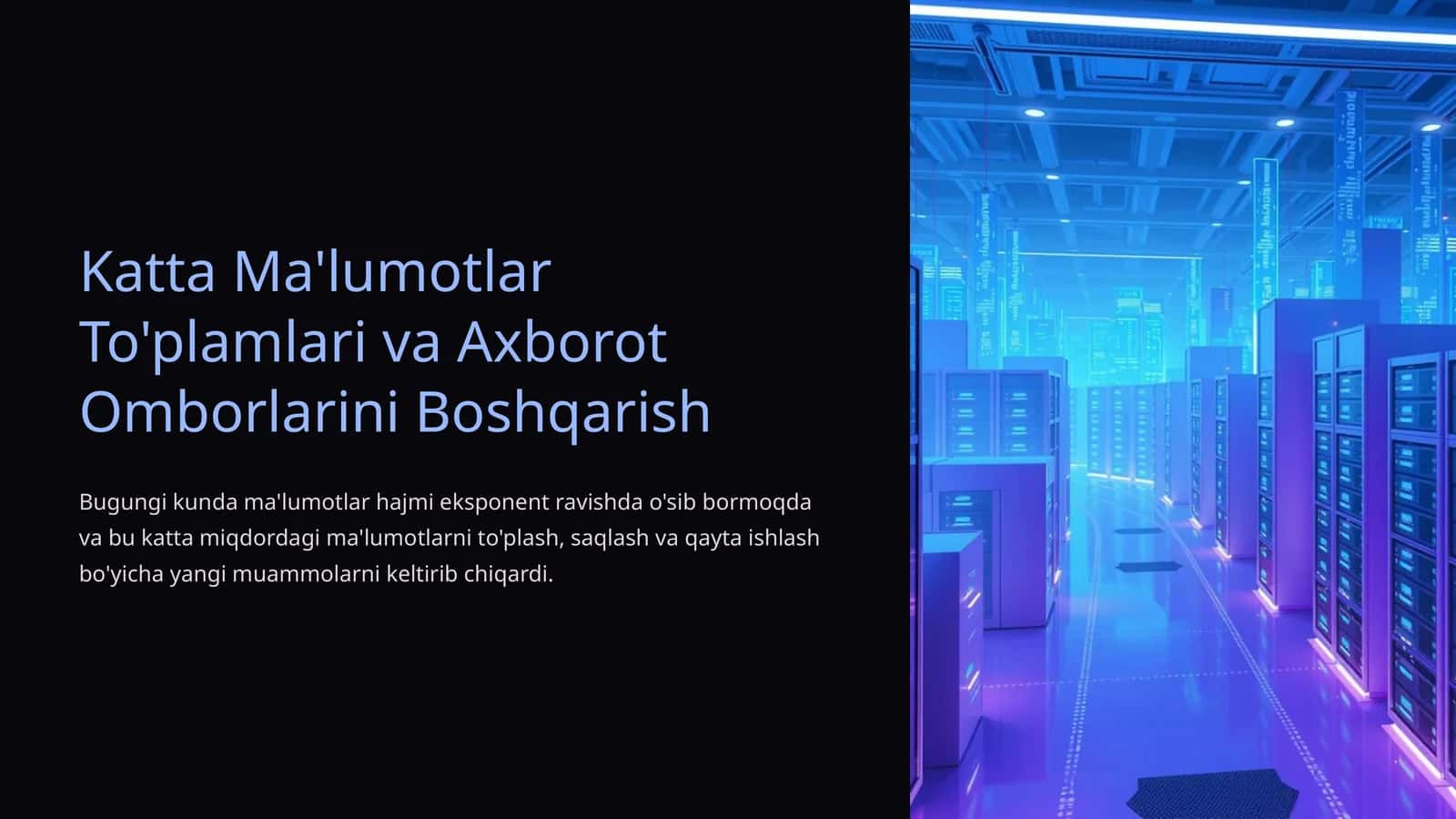 Katta Ma'lumotlar To'plamlari va Axborot Omborlarini Boshqarish