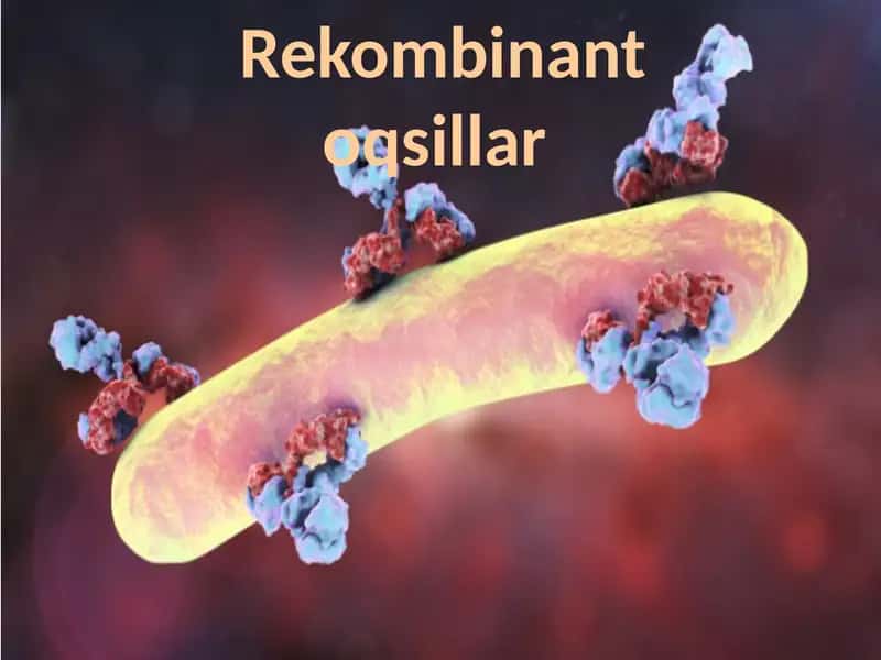 Rekombinantoqsillar