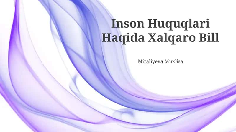 Inson Huquqlari Haqida Xalqaro Bill
