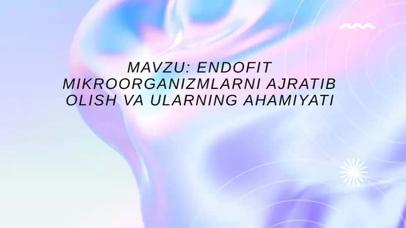 endofit Mikroorganizmlarni ajratib olish va ularning ahamiyati