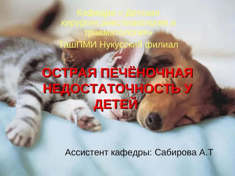 Острая печеночная недостаточность у детей