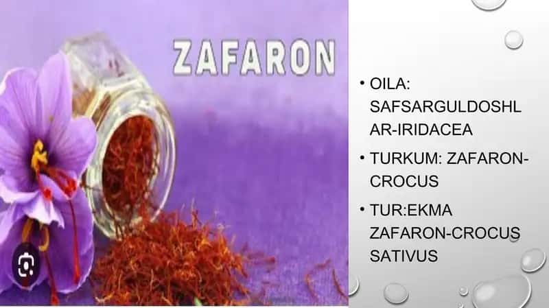 Zafaron – sapsarguldoshlar