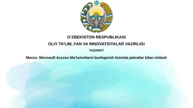 Microsoft Access