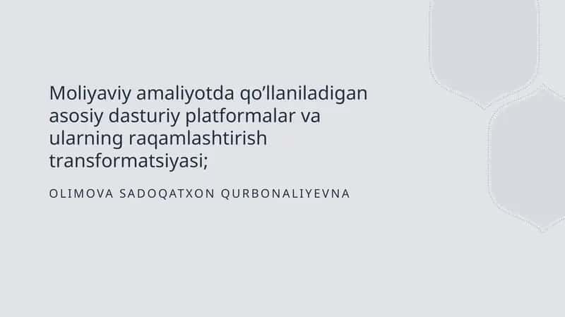 Moliyaviy dasturlar va ularning roli