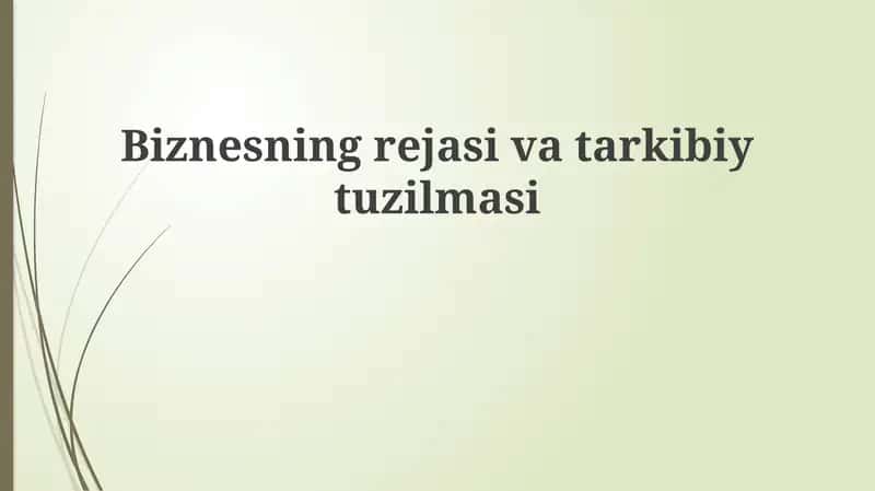 Biznesning reja va tashkiliy tuzilma