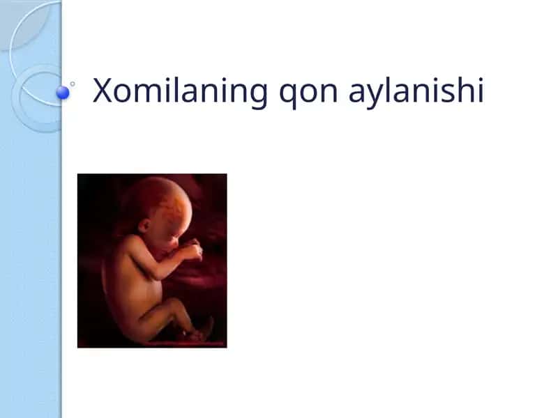 Xomilaning qon aylanishi