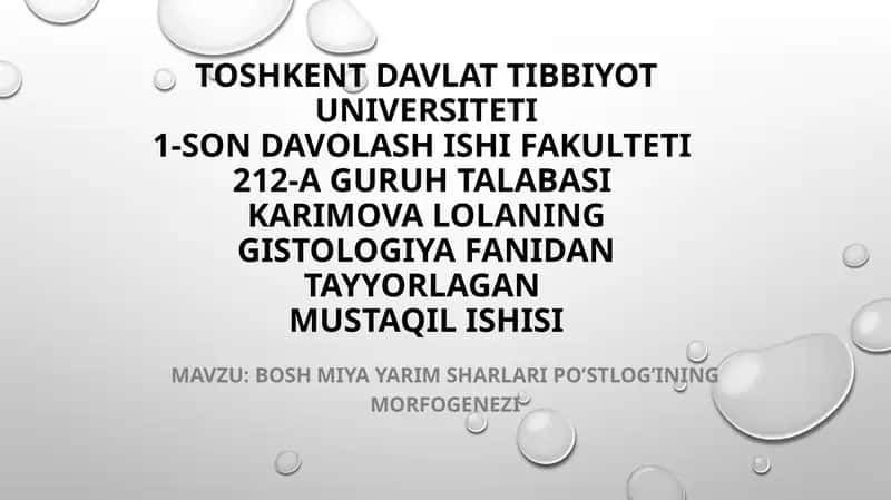 bosh miya po'stlog'i gistologiyasi