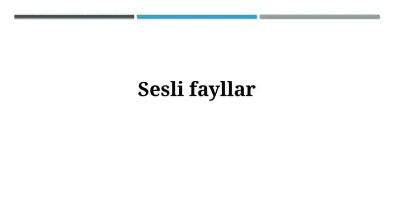 Audi fayllar