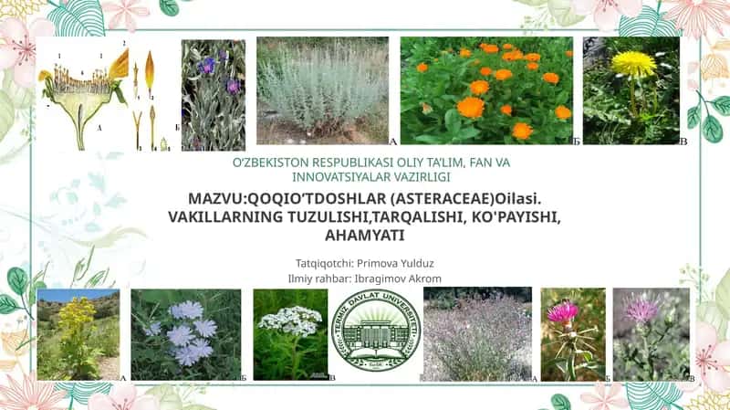 Qoqioʻtdoshlar (Asteraceae)