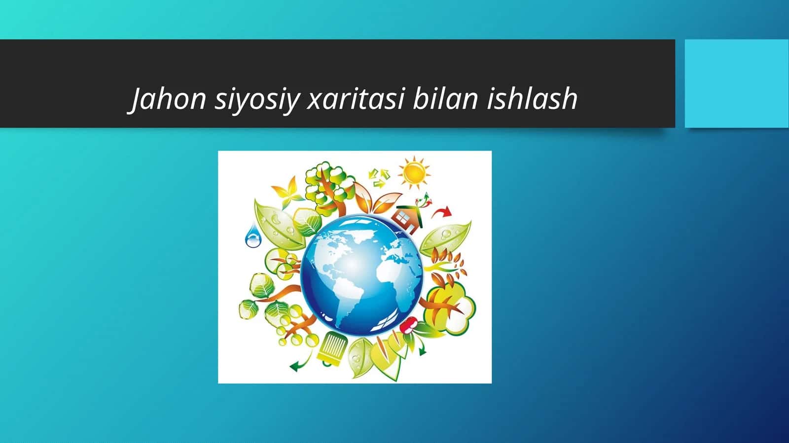 Jahon siyosiy xaritasi bilan ishlash