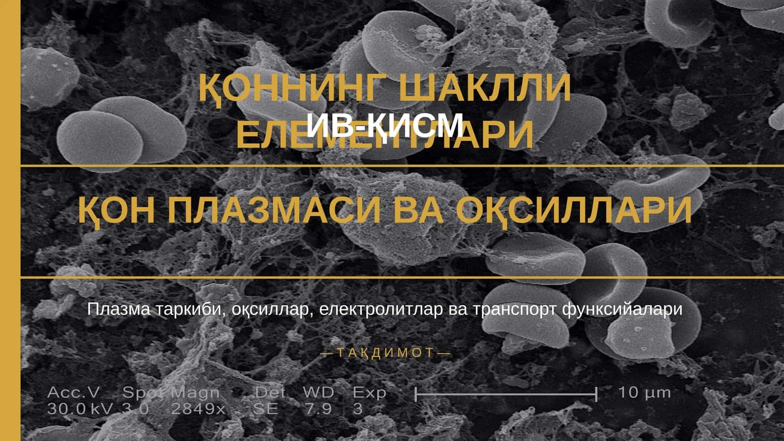 Коннинг шаклли елементлари
