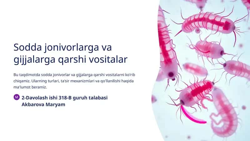 Sodda jonivorlar va gijjalar haqida umumiy ma'lumot