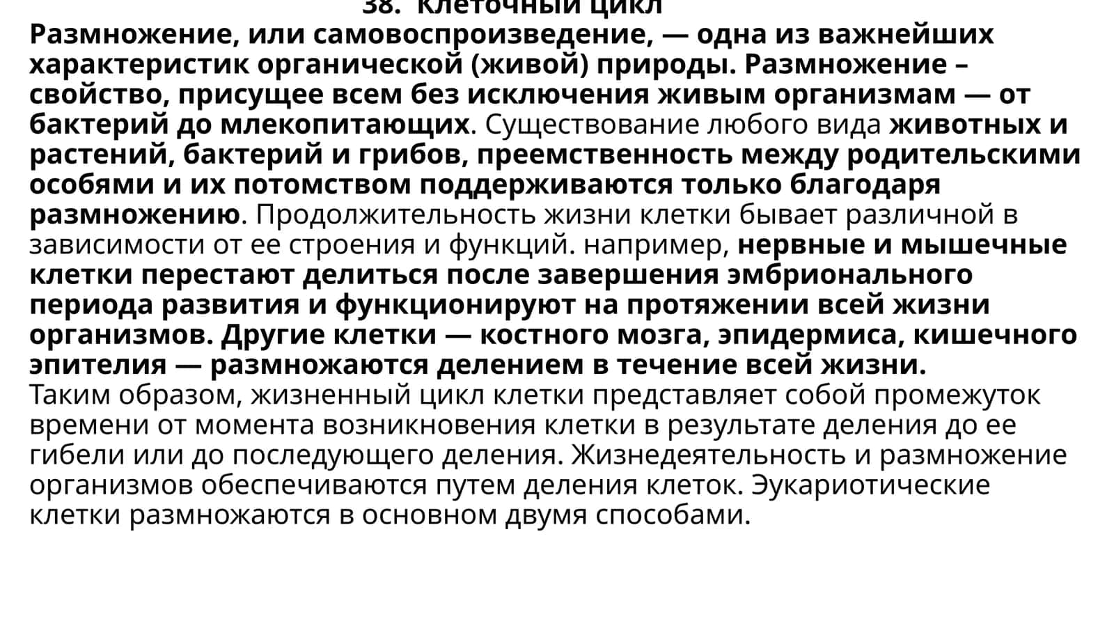 Клеточный цикл
